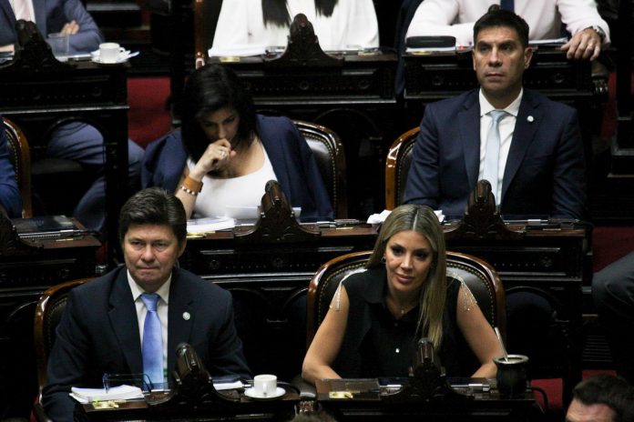 Presupuesto 2026: un diputado libertario se confundió de proyecto y elogió un plan obras que propone la oposición